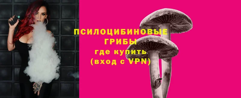 купить  сайты  Андреаполь  Галлюциногенные грибы Psilocybe 